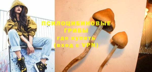 дмт Касимов