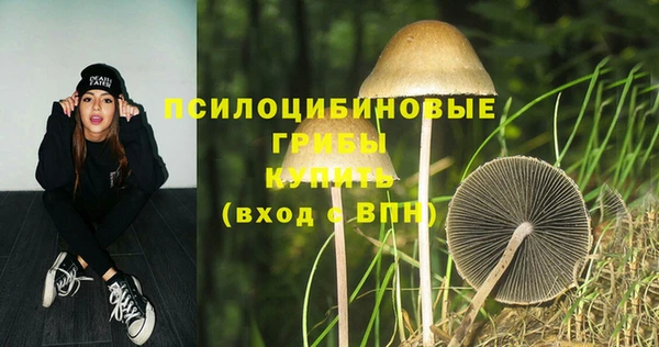 дмт Касимов
