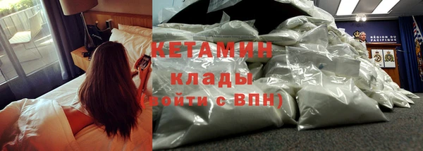 дмт Касимов